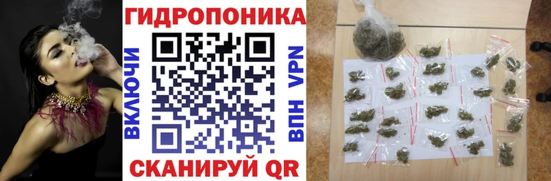 Марихуана White Widow Нея
